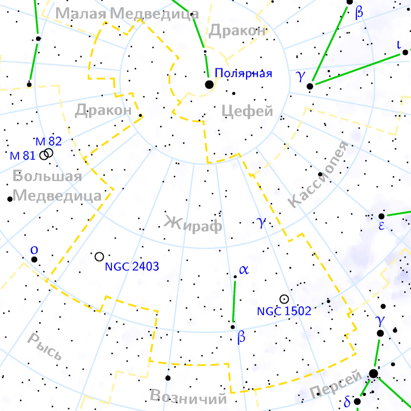 Жираф