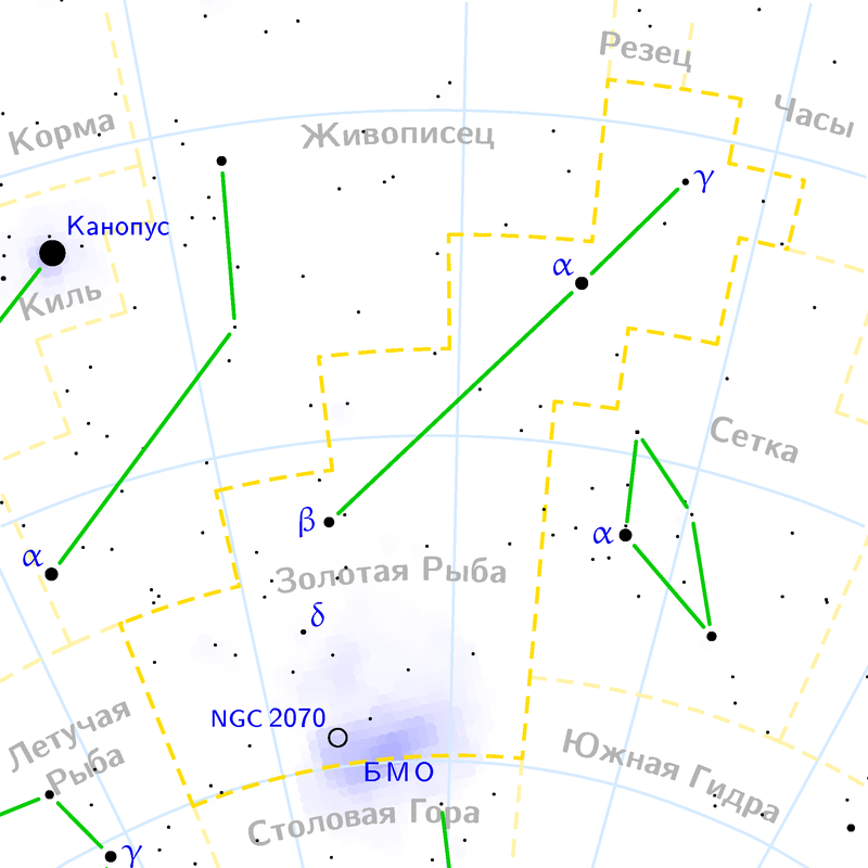 Золотая рыба