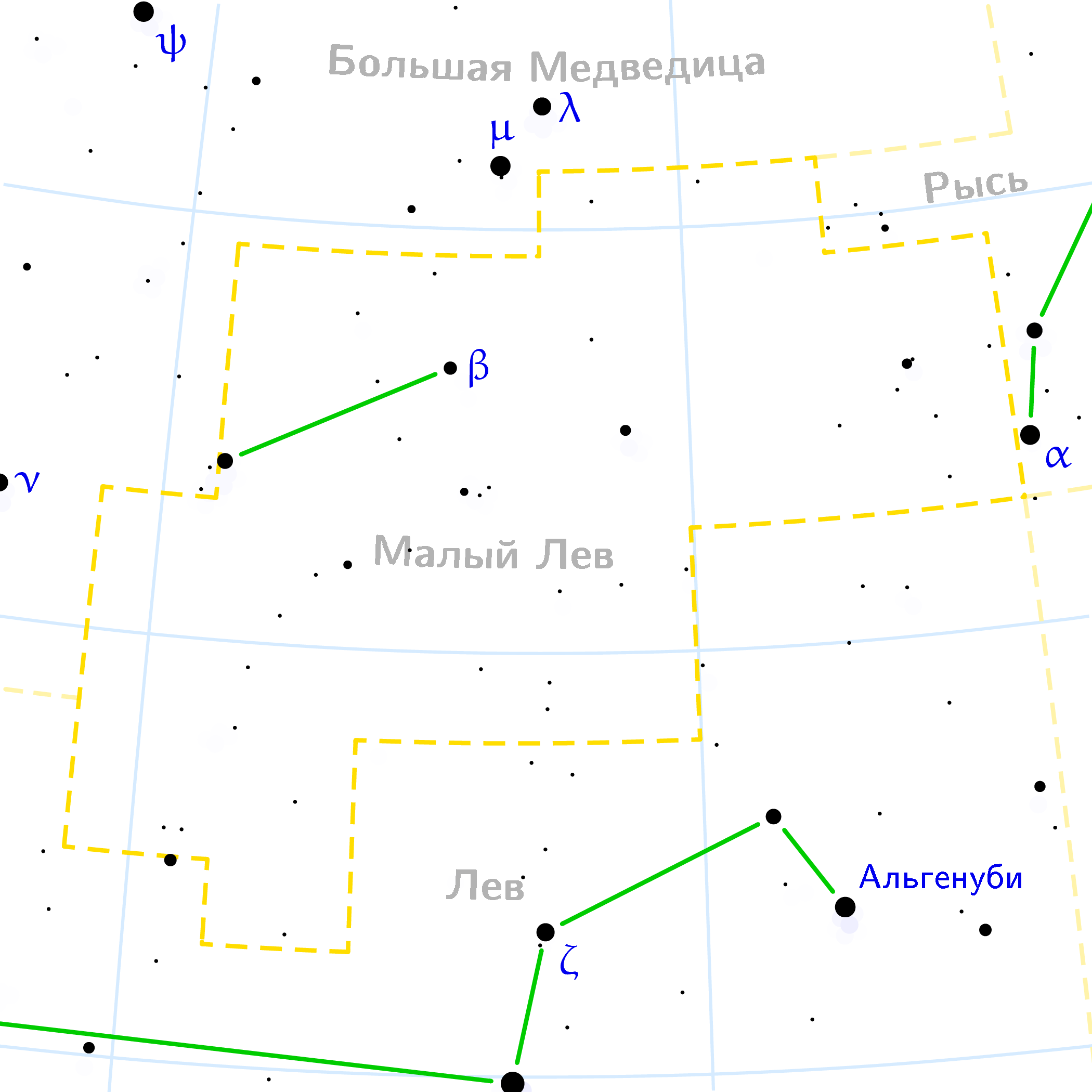 Малый лев