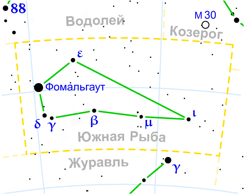 Южная рыба
